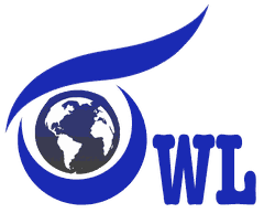 Owl Solutions logo